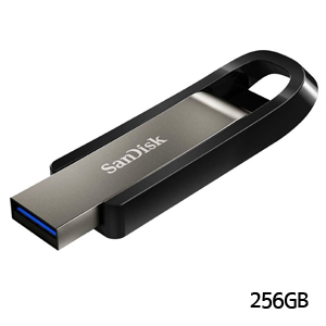 サンディスク SanDisk 海外パッケージ サンディスク USBメモリ 256GB SDCZ810-256G-G46 USB3.1対応