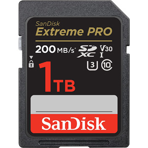 サンディスク SanDisk 海外パッケージ サンディスク SDXC 1TB SDSDXXD-1T00-GN4IN UHS-I U3 V30 4K class10 SDカード