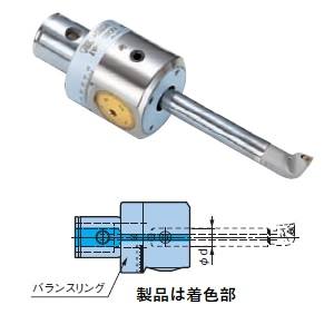 大昭和精機 BIG DAISHOWA BIG DAISHOWA EWB32-42CK3 CKボーリングシステム EWBボーリングヘッド 高速仕上用  メーカー直送 代引不可 北海道 沖縄 離島不可 | プレミアム・あきばお～