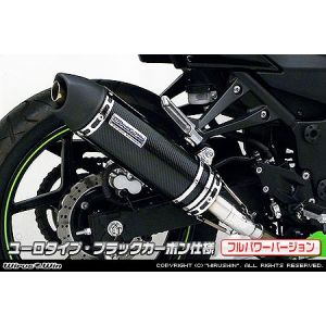 ウイルズウィン WirusWin ウイルズウィン  スリップオンマフラー ユーロ/BLKカーボン Ninja250R JBK-EX250K WirusWin