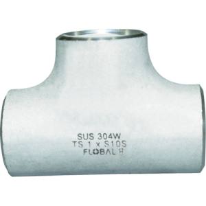 フローバル FLOBAL フローバル B-TS-10S-20A 同径チーズ S10S 09100062