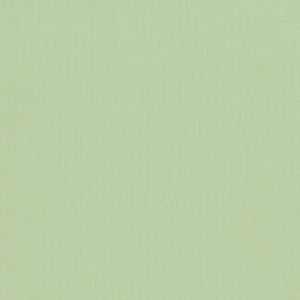 清原 KIYOHARA KIYOHARA パレットカラー帆布 11号 生地 無地 綿100% 約110cm×50cmカット LG ライトグリーン KOF02-50 LG 清原
