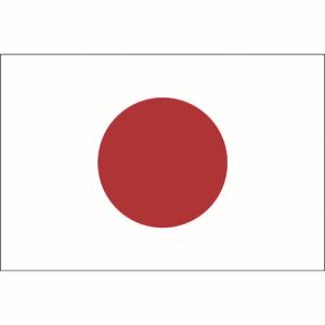 東京製旗 東京製旗 426261 国旗2 90×135cm ケニア | プレミアム