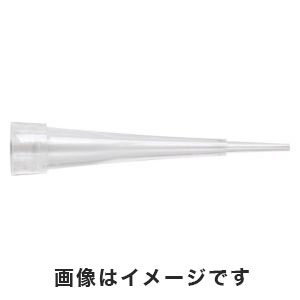 サーモフィッシャーサイエンティフィック サーモフィッシャー T104R-Q QSP ピペットチップ 0.1-10μL クリアー 31.5mm ラック 96本×10ラック