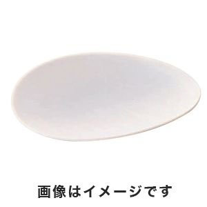 ケミカル化工 ケミカル化工 時計皿(PTFE) φ50mm 7-256-01