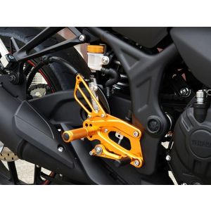 ベビーフェイス BabyFace ベビーフェイス 002-Y017GD バックステップ/ゴールド 5P YZF-R25 15-22