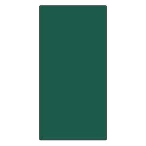 日本緑十字社 日本緑十字社 57132 エンビ無地板 緑 エンビ-13 緑 600×300×1mm 硬質塩化ビニール