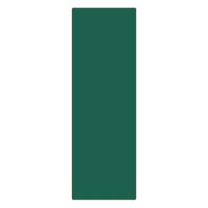 日本緑十字社 日本緑十字社 57222 エンビ無地板 緑 エンビ-22 緑 360×120×1mm 硬質塩化ビニール