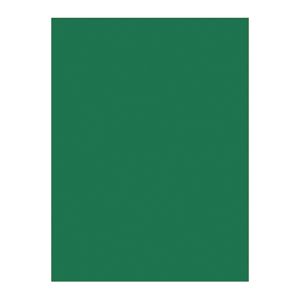 日本緑十字社 日本緑十字社 289001 工事撮影用黒板 無地タイプ H-1 600×450mm 厚み20mm 木製