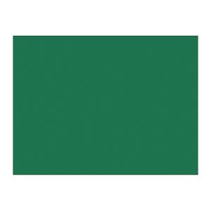 日本緑十字社 日本緑十字社 289021 工事撮影用黒板 無地タイプ W-1 450×600mm 厚み20mm 木製