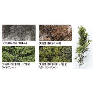 カトー KATO KATO 24-558 天然素材樹木2 林冠