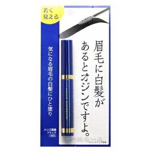 ビナ薬粧 ビナ薬粧 メンズ眉墨 ブラック 5g