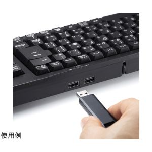 サンワサプライ SANWA SUPPLY サンワサプライ SKB-KG2UH2BK コンパクトキーボード USBハブ付