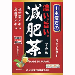 山本漢方製薬 山本漢方製薬 濃い旨い減肥茶 10g×24