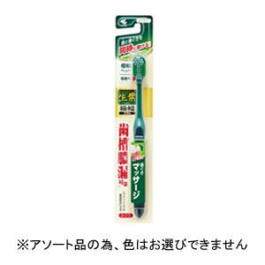 小林製薬 小林製薬 生葉 極幅ブラシ ふつう 1本