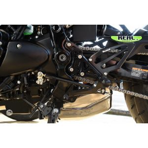 ウッドストック ウッドストック RVS-K36-SL 逆チェンジキット SLV Z900RS 18