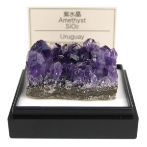 ケニス KENIS ケニス 鉱物標本 紫水晶 11470450