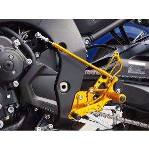 ベビーフェイス BabyFace ベビーフェイス 002-Y011GDR バックステップ/ゴールド 7P レース FZ1/8 Fazer8 06-14