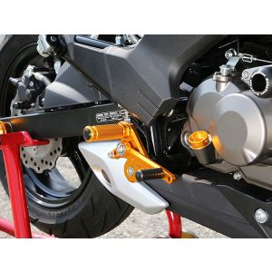 ベビーフェイス BabyFace ベビーフェイス 002-K029SV バックステップキット SLV Z125 Pro 16-