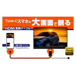 カシムラ kashimura カシムラ KD-208 HDMI 変換ケーブル Type-C専用