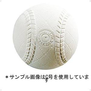 ユニックス UNIX　 ユニックス 軟式スタンダードタイプC号サイズ袋 2個入り  PL7155