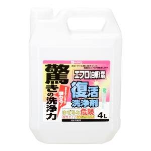 カンペハピオ KANSAI カンペハピオ 復活洗浄剤 エフロ用 4L