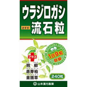 山本漢方製薬 山本漢方製薬 ウラジロガシ流石粒 240粒