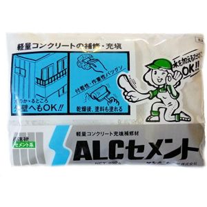 サンホーム工業 サンホーム工業 BA ALCセメント 白色 850g