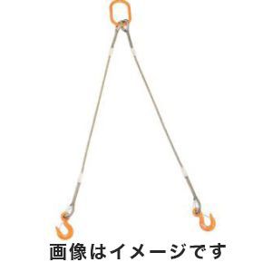 トラスコ中山 TRUSCO 2本吊りWスリング フック付き 6mm×2m GRE-2P-6S2